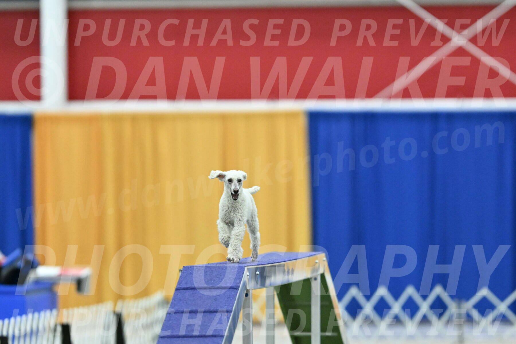 MAS-EX-STD-16-Inch_6586