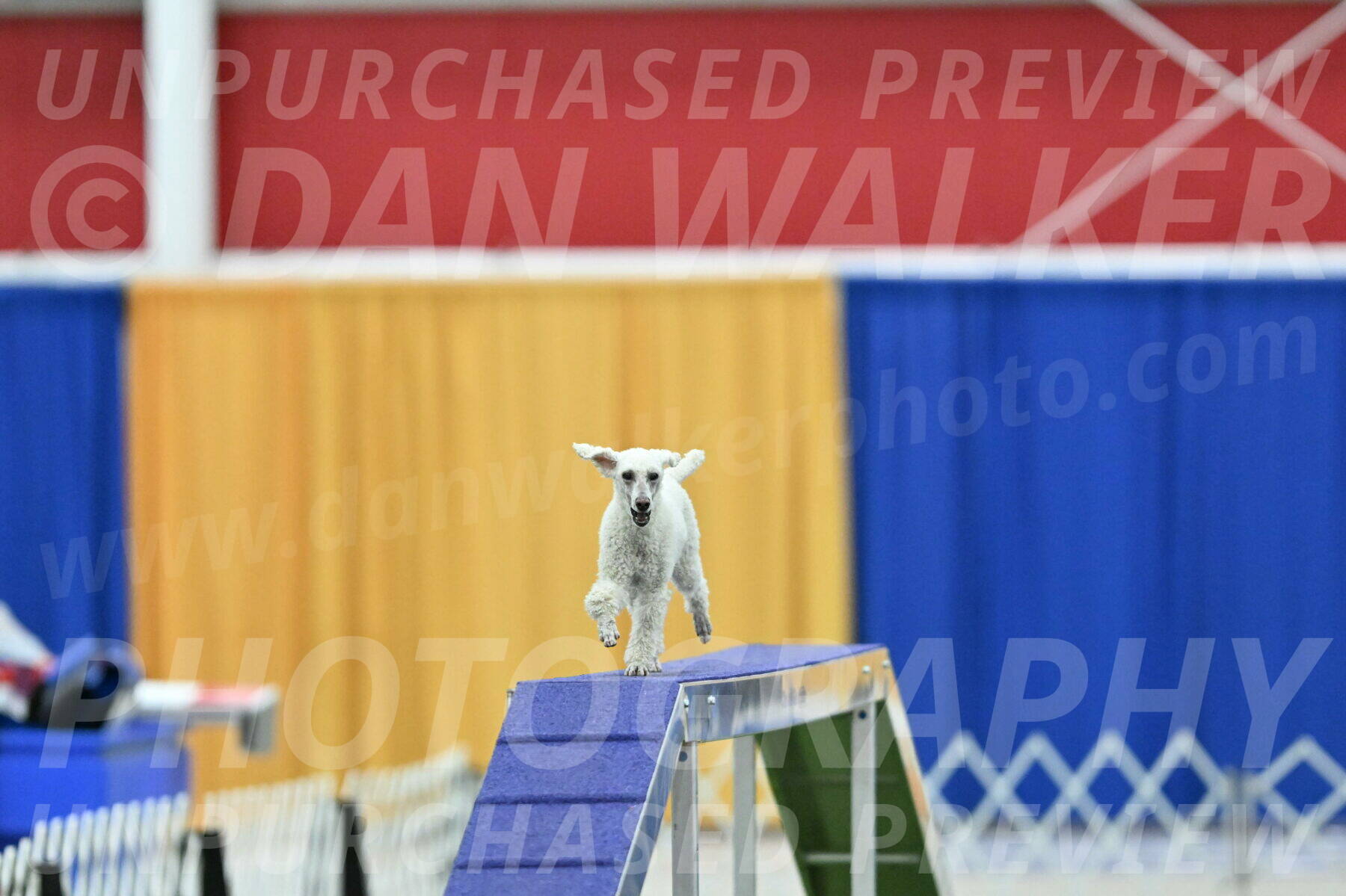 MAS-EX-STD-16-Inch_6587