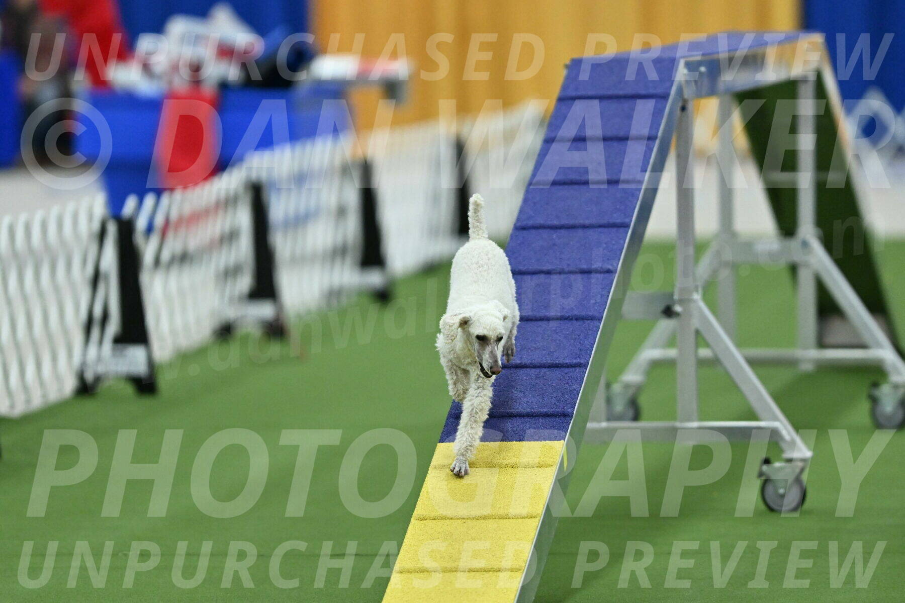 MAS-EX-STD-16-Inch_6593