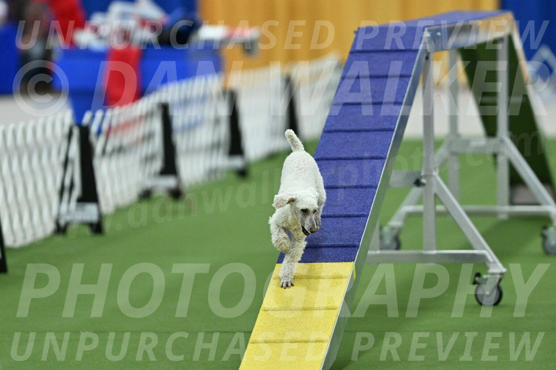 MAS-EX-STD-16-Inch_6594