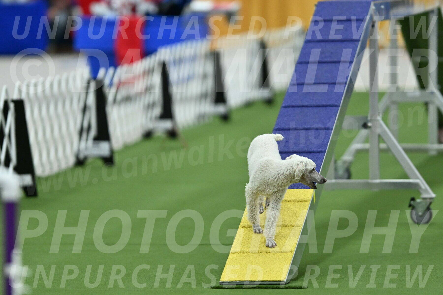 MAS-EX-STD-16-Inch_6595