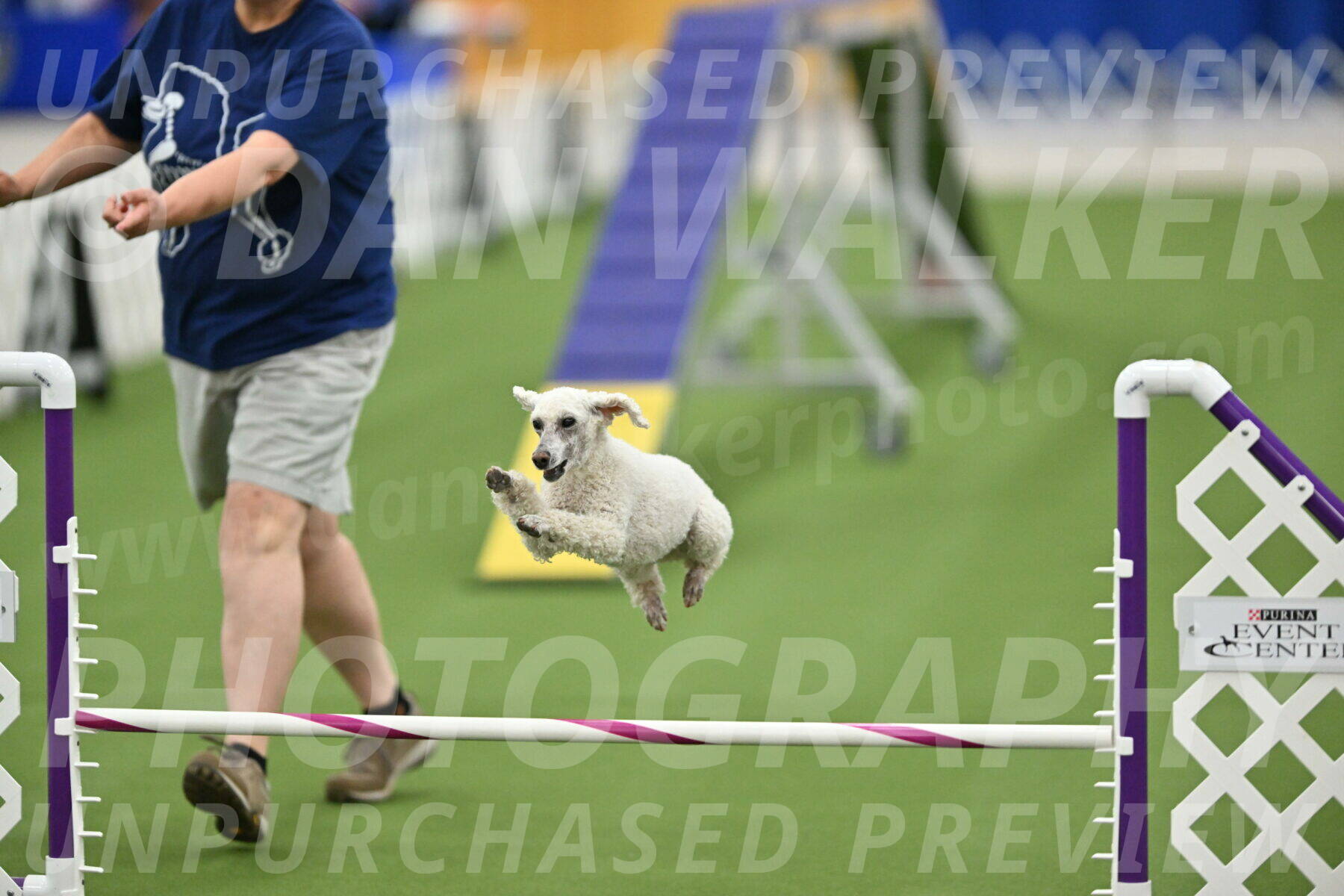 MAS-EX-STD-16-Inch_6602