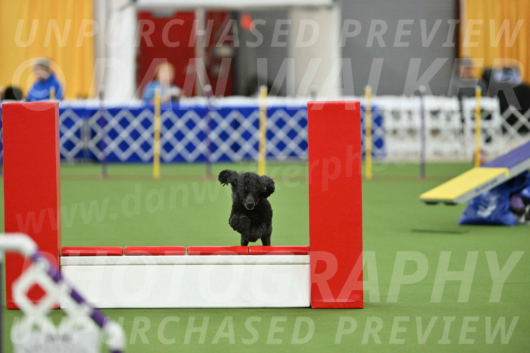 MAS-EX-STD-16-Inch_6612