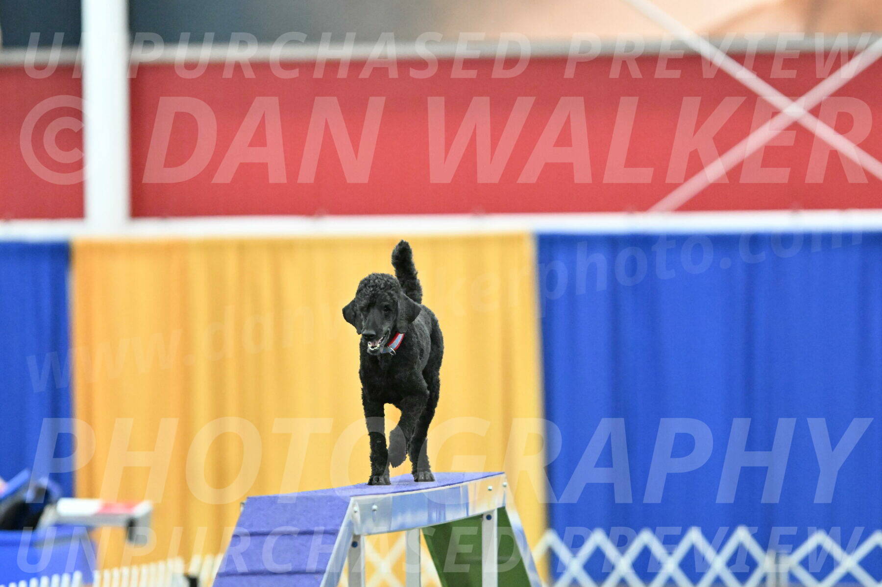 MAS-EX-STD-16-Inch_6698