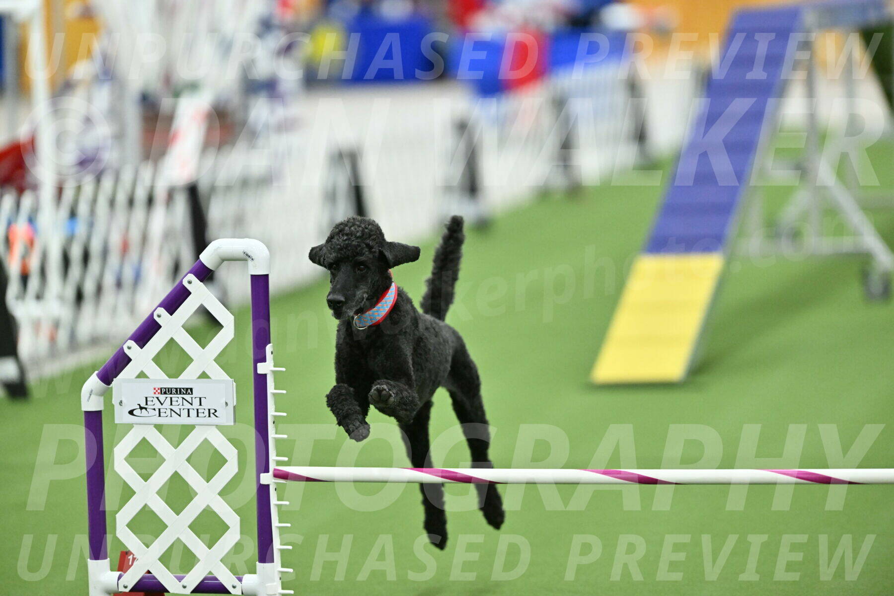 MAS-EX-STD-16-Inch_6720