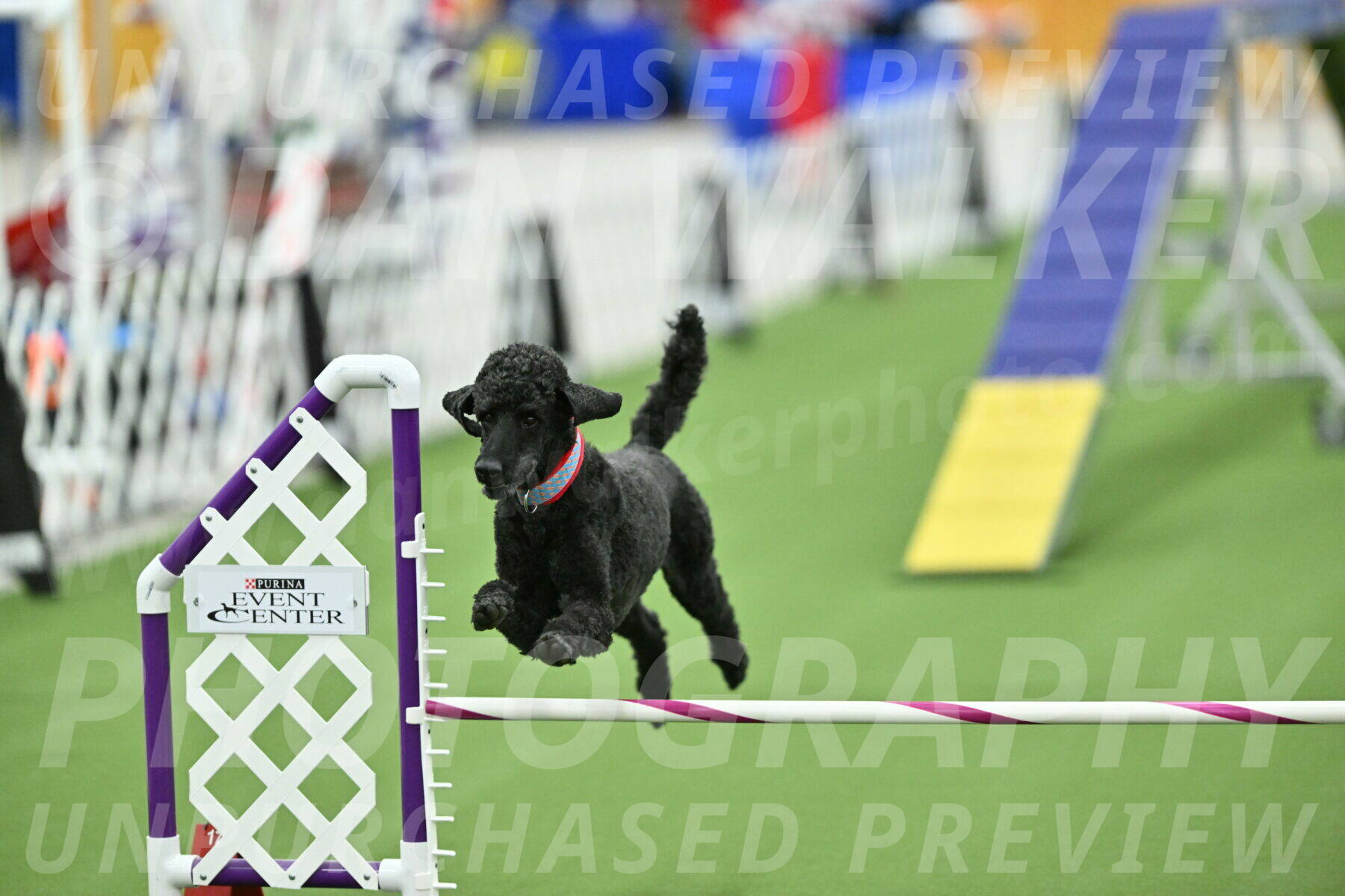 MAS-EX-STD-16-Inch_6721