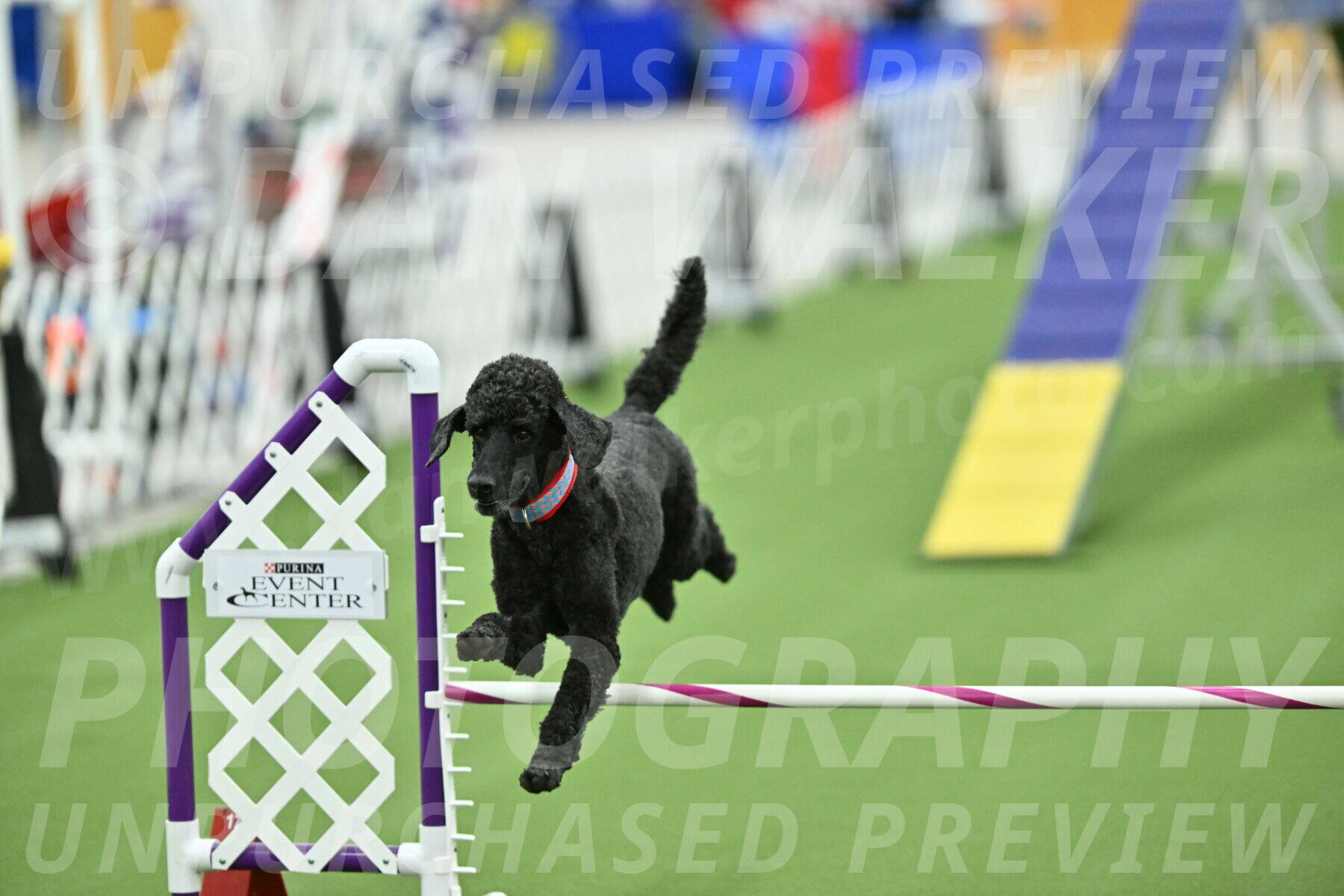 MAS-EX-STD-16-Inch_6722