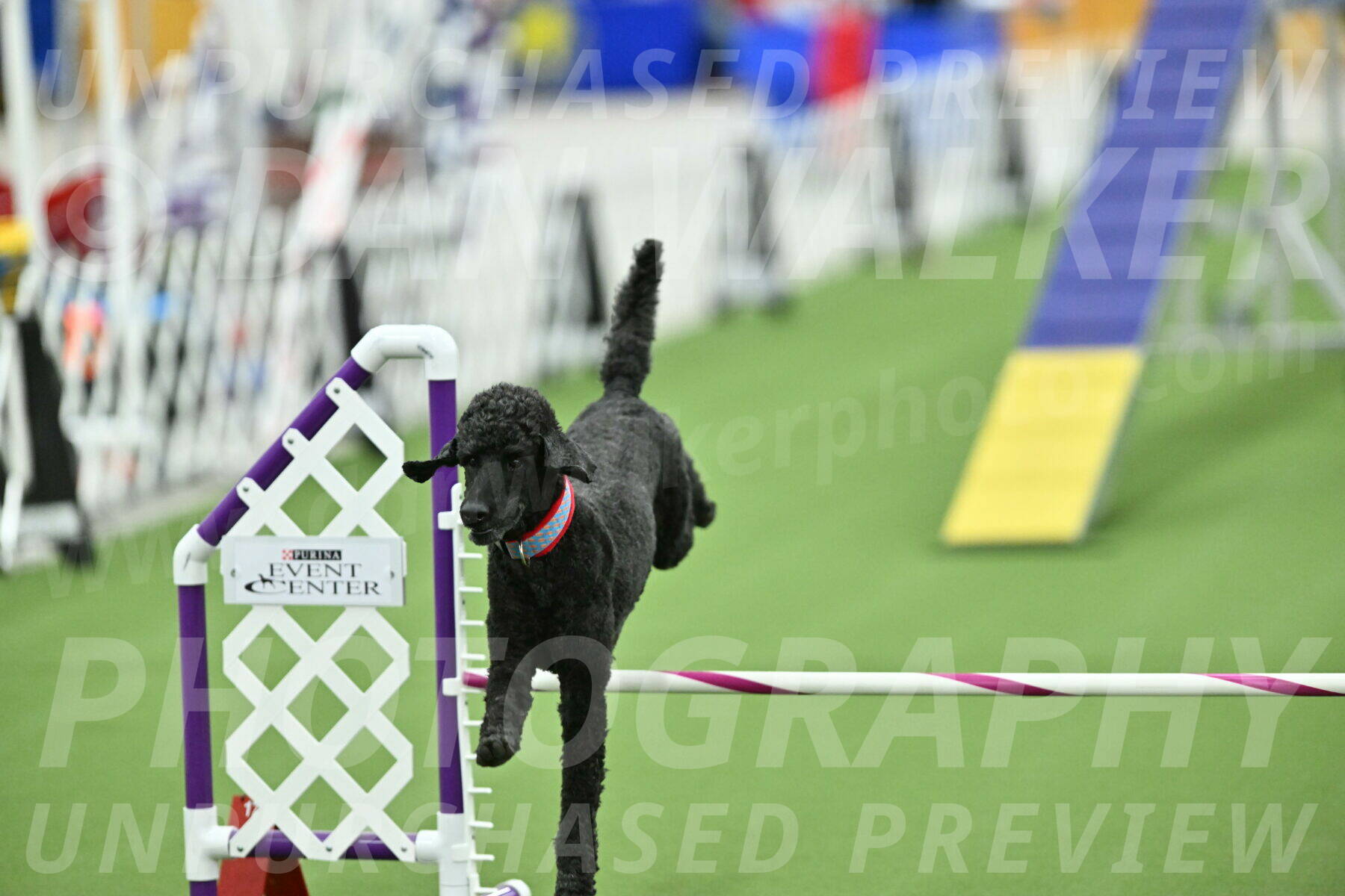 MAS-EX-STD-16-Inch_6723