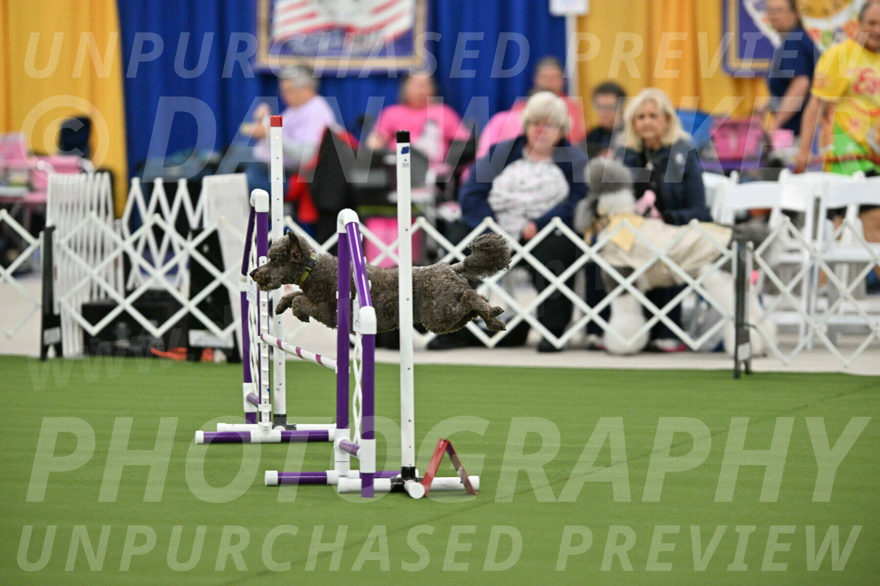 MAS-EX-STD-16-Inch_6726