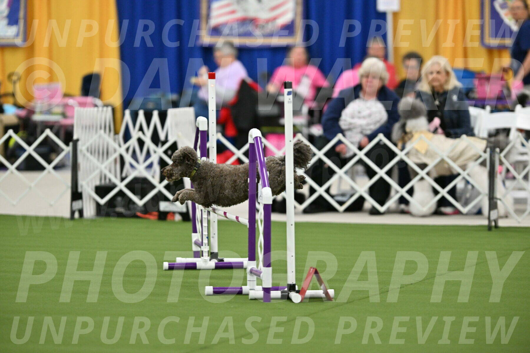 MAS-EX-STD-16-Inch_6727