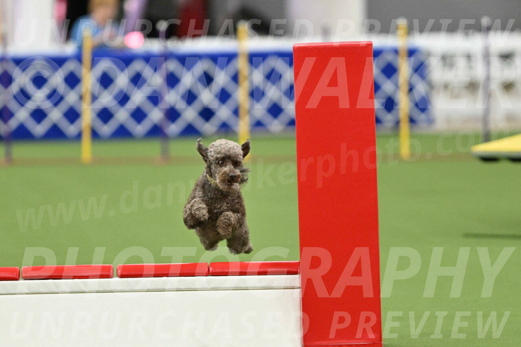 MAS-EX-STD-16-Inch_6735