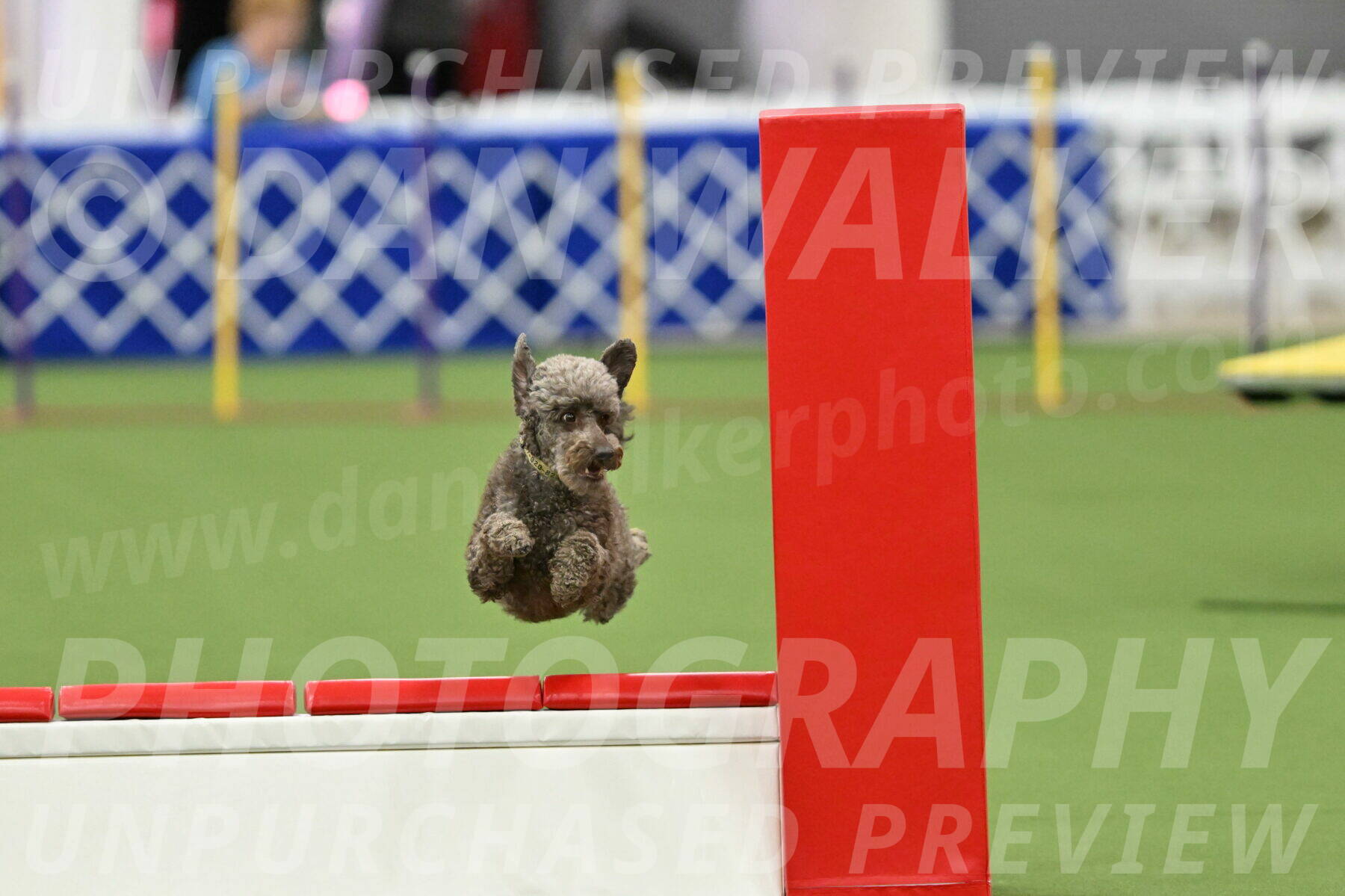 MAS-EX-STD-16-Inch_6736