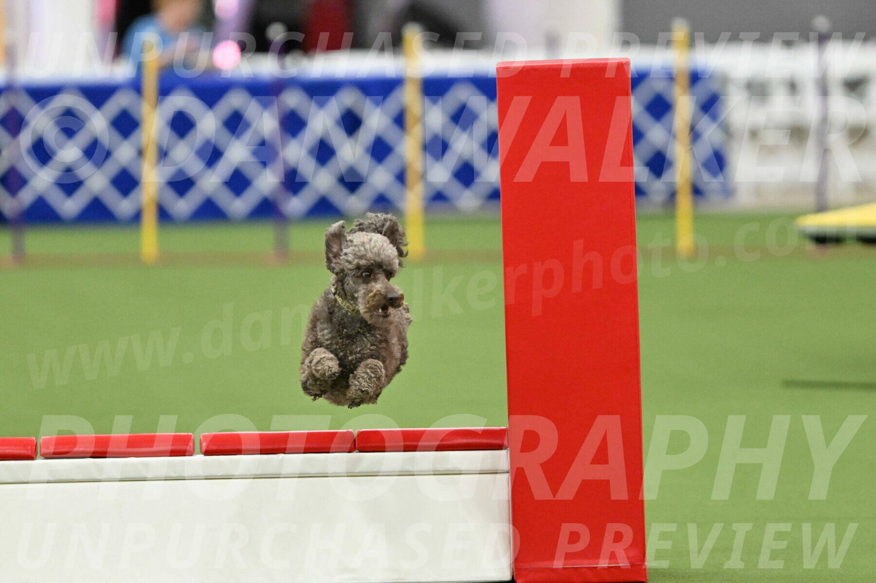 MAS-EX-STD-16-Inch_6737