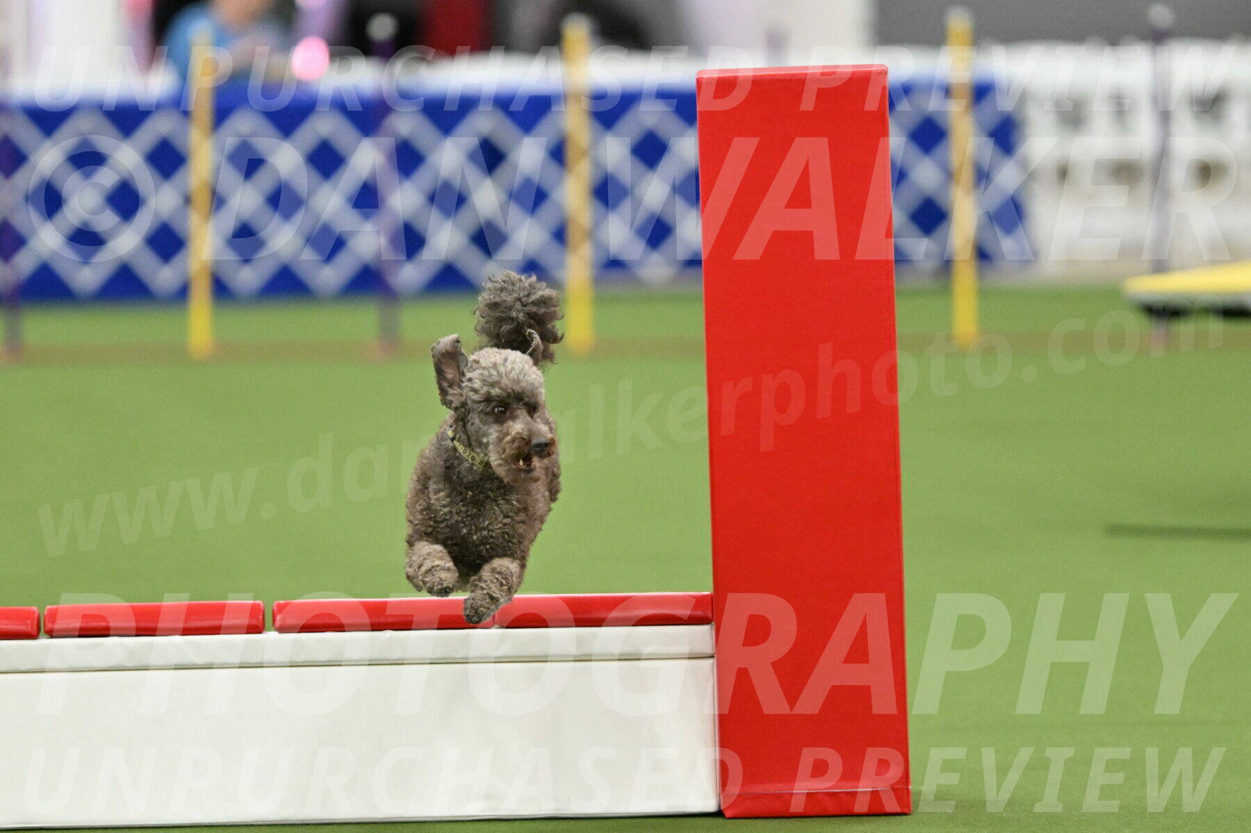 MAS-EX-STD-16-Inch_6738