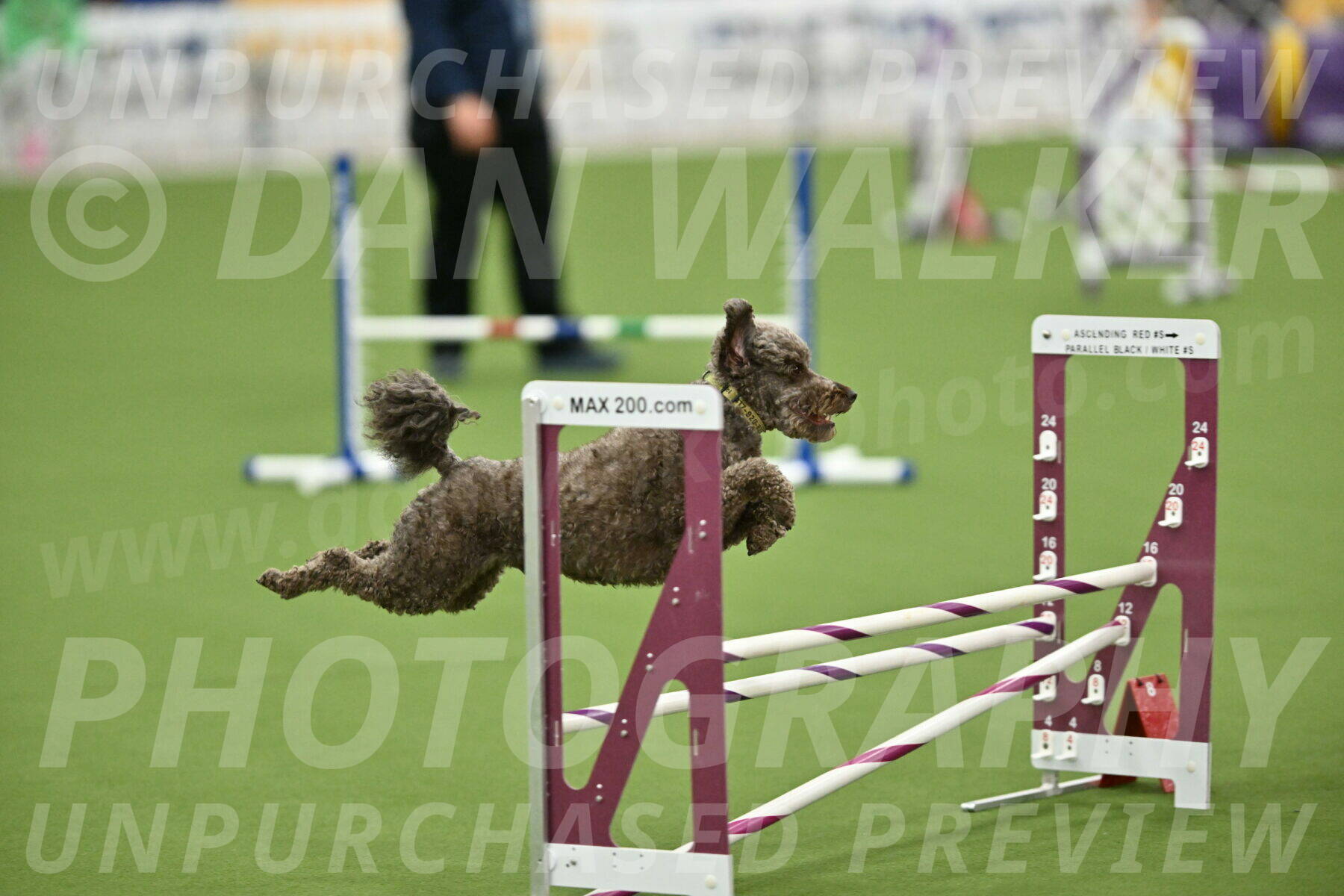 MAS-EX-STD-16-Inch_6741