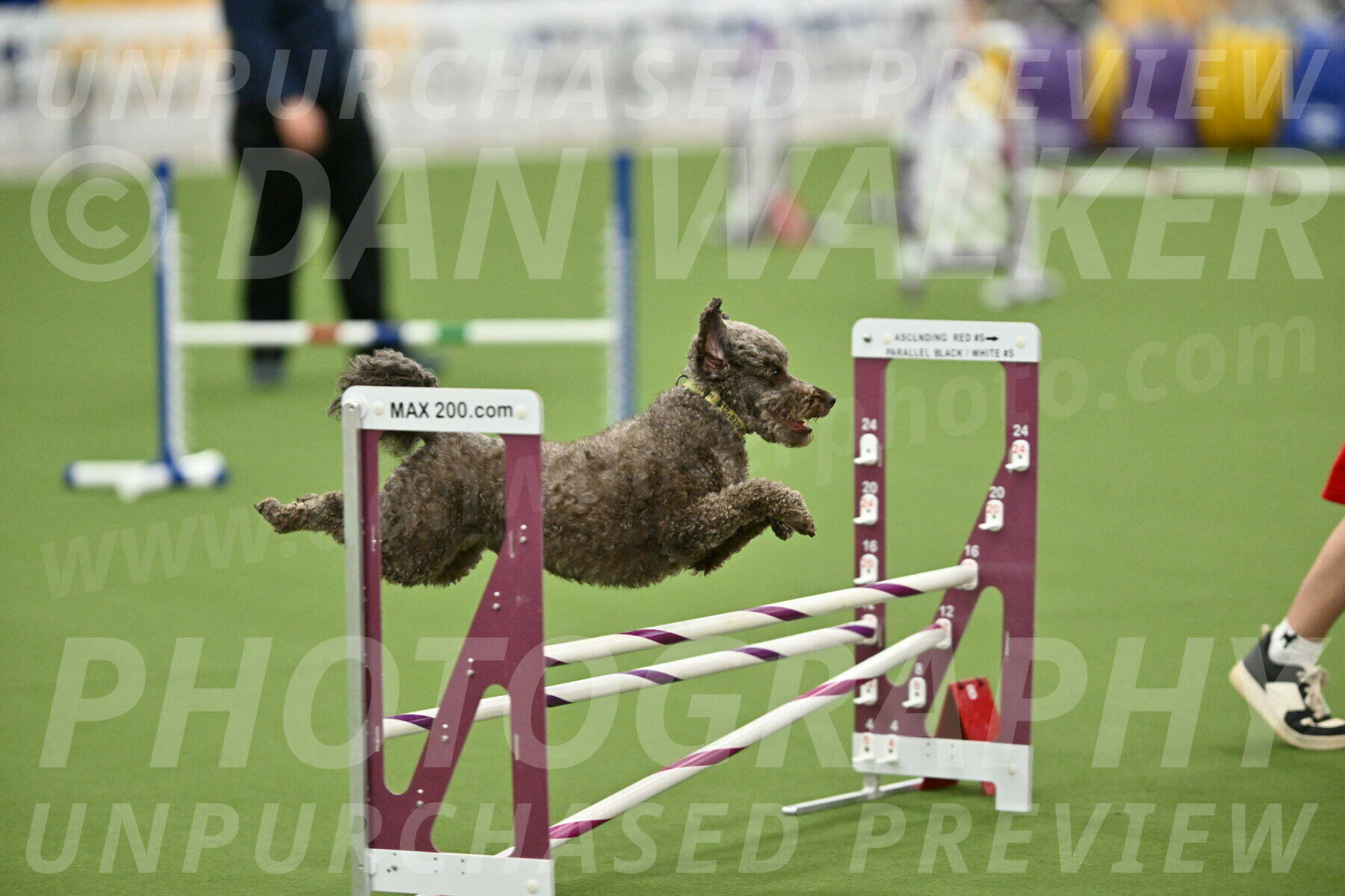 MAS-EX-STD-16-Inch_6742