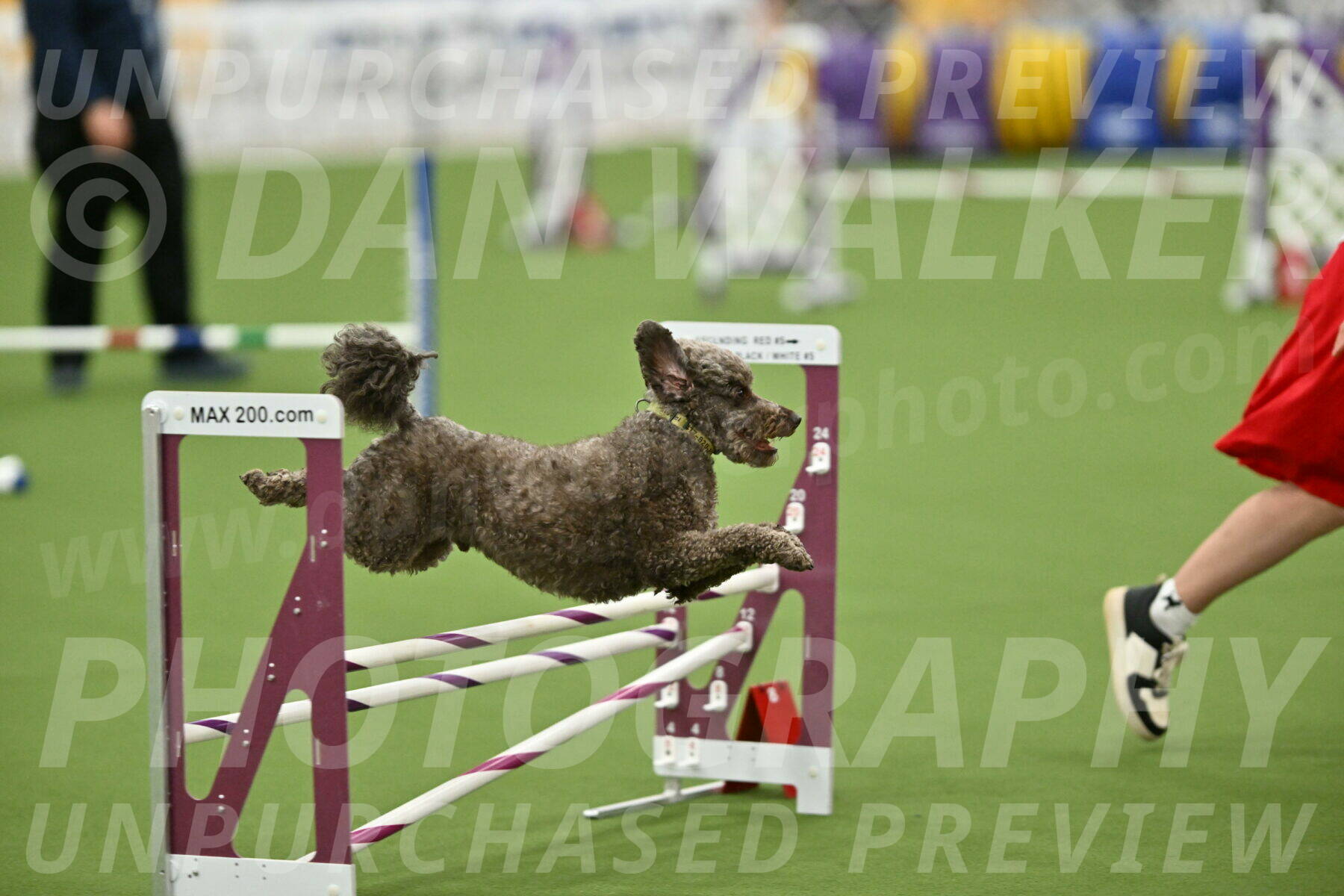 MAS-EX-STD-16-Inch_6743