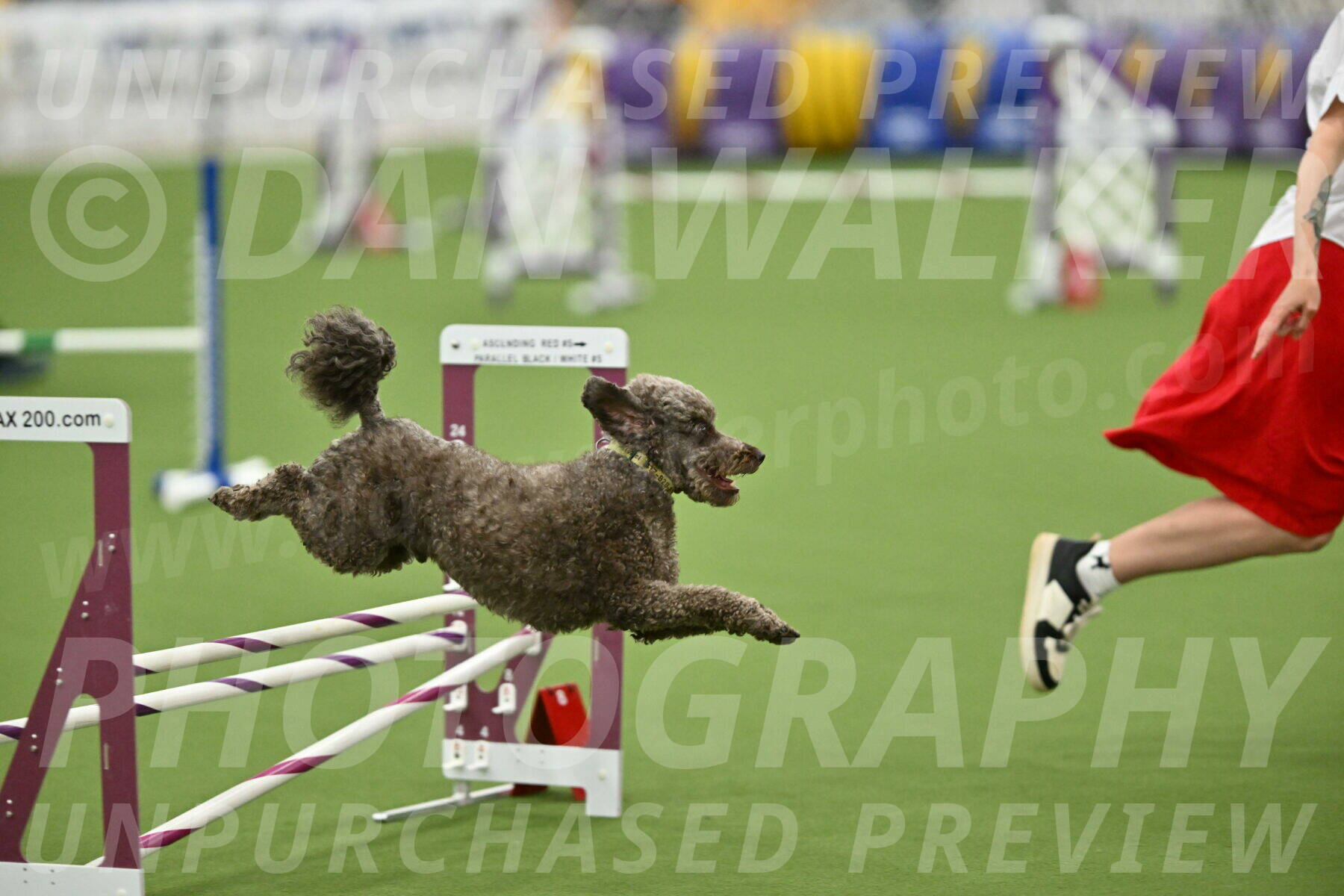 MAS-EX-STD-16-Inch_6744