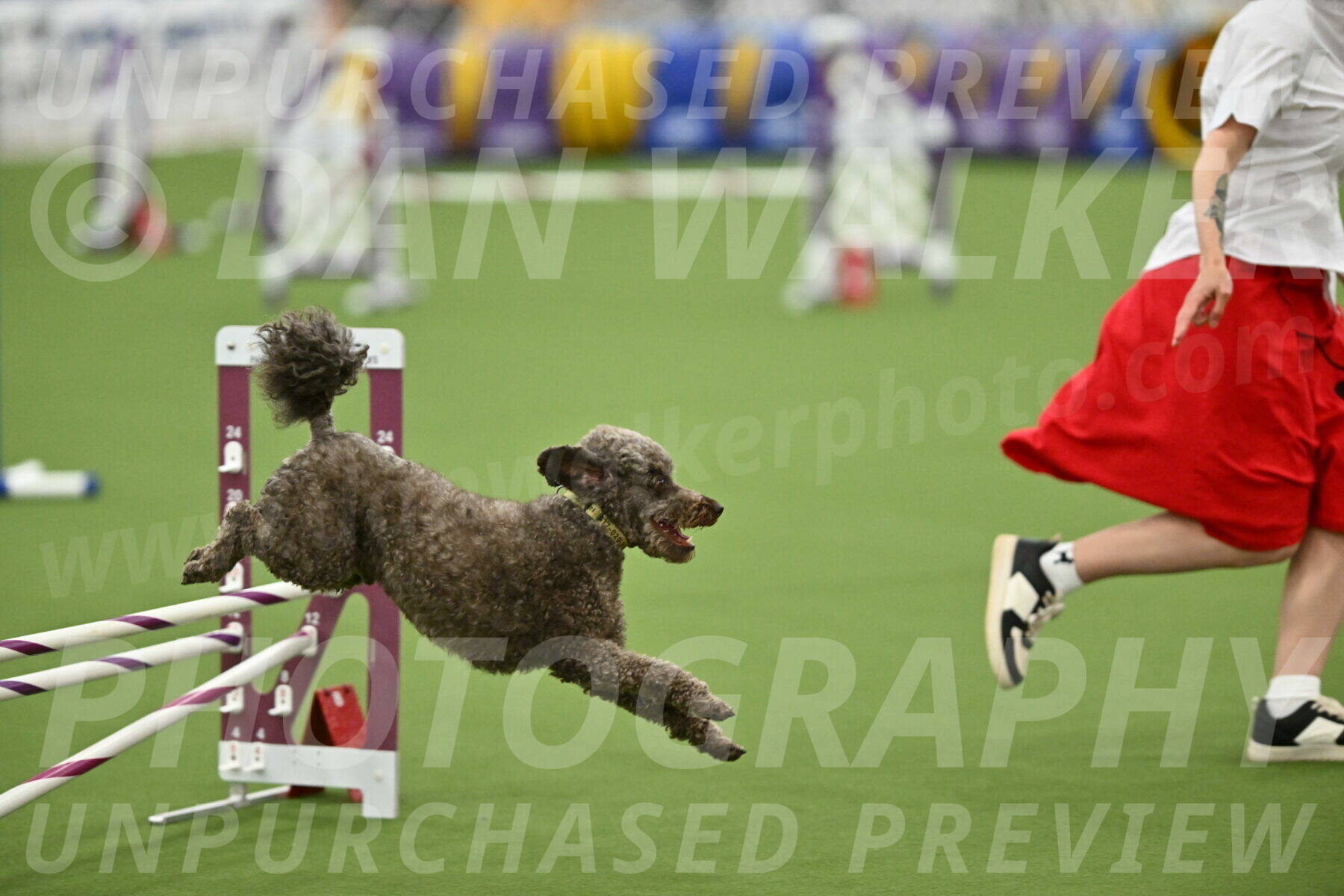 MAS-EX-STD-16-Inch_6745