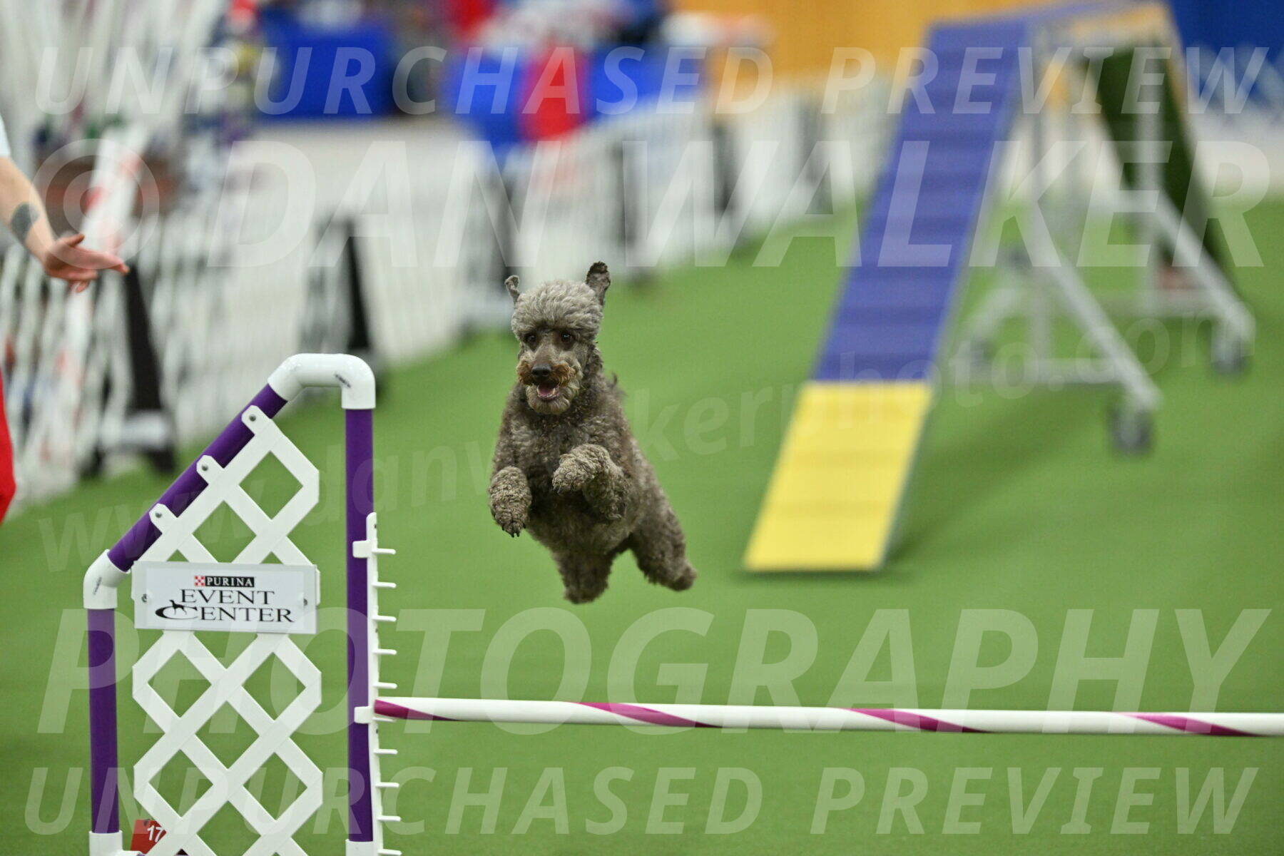 MAS-EX-STD-16-Inch_6761