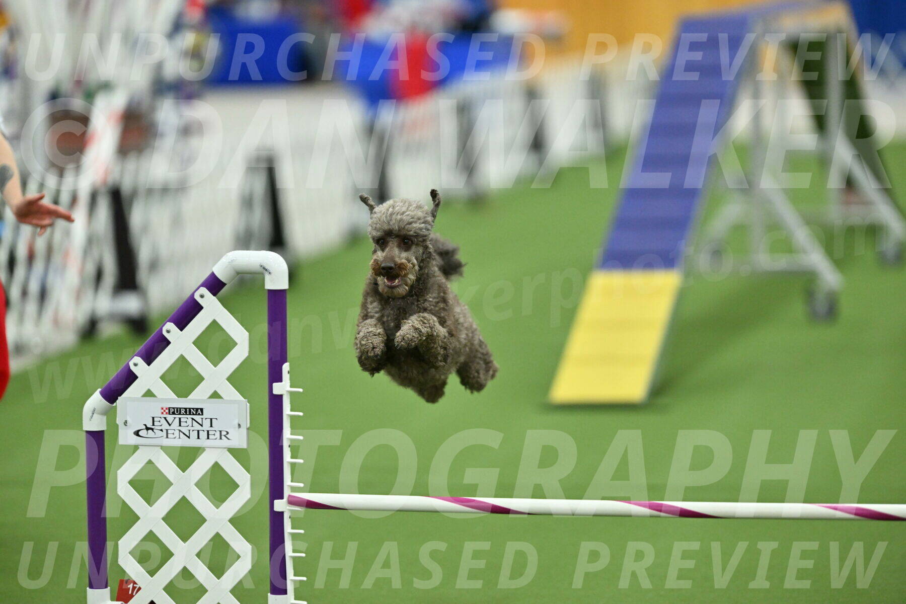 MAS-EX-STD-16-Inch_6762