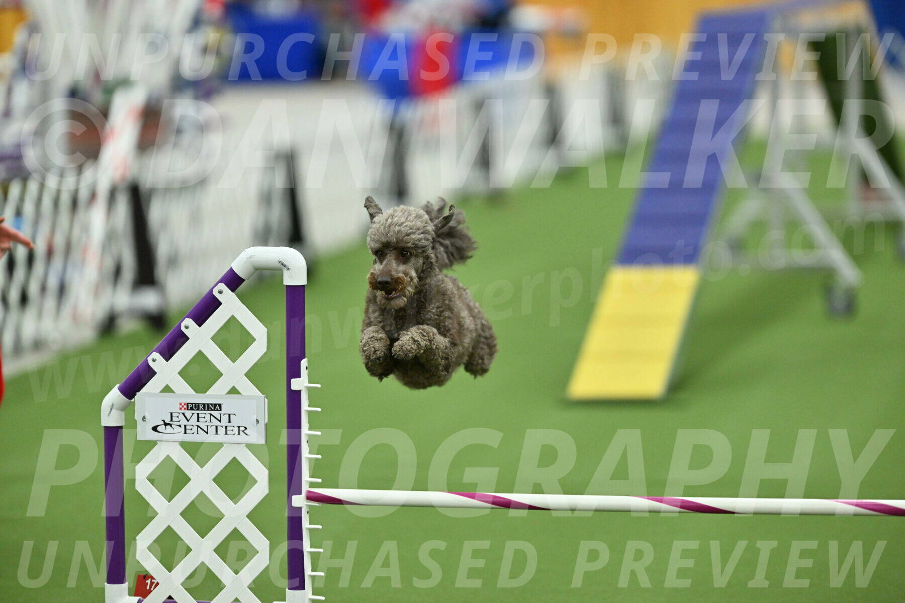 MAS-EX-STD-16-Inch_6763