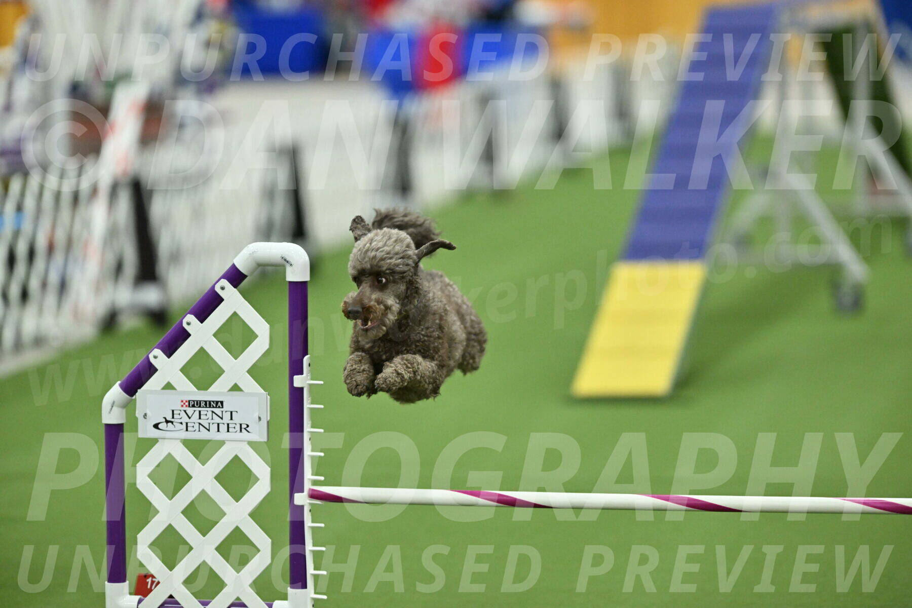 MAS-EX-STD-16-Inch_6764