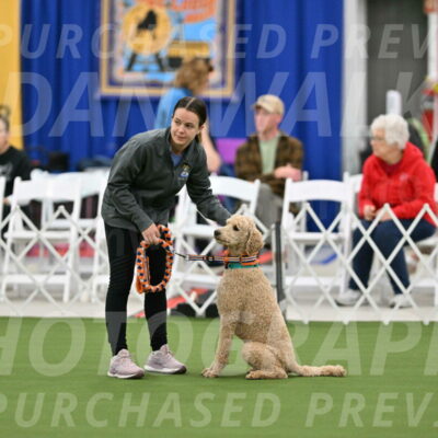 MAS-EX-STD-20-Inch_6765