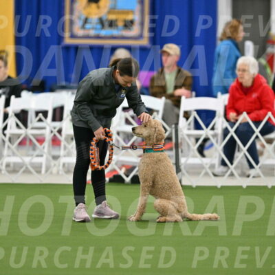 MAS-EX-STD-20-Inch_6768