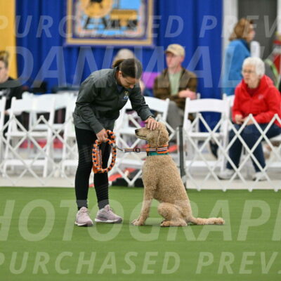 MAS-EX-STD-20-Inch_6769