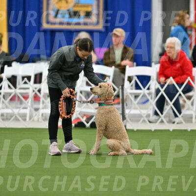 MAS-EX-STD-20-Inch_6770