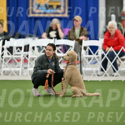 MAS-EX-STD-20-Inch_6776