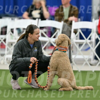 MAS-EX-STD-20-Inch_6777