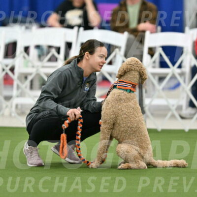 MAS-EX-STD-20-Inch_6780