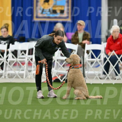 MAS-EX-STD-20-Inch_6783