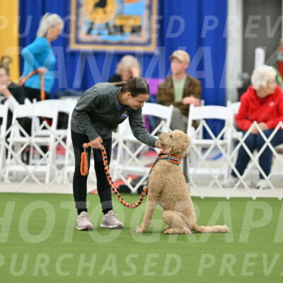 MAS-EX-STD-20-Inch_6786