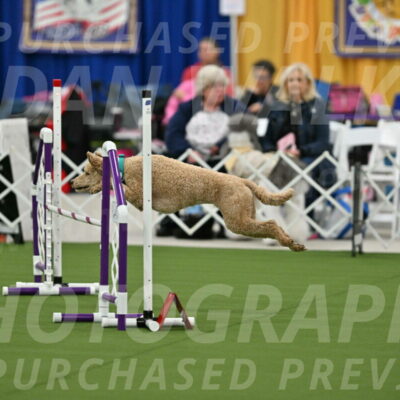 MAS-EX-STD-20-Inch_6787