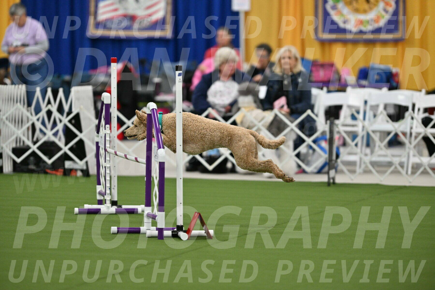 MAS-EX-STD-20-Inch_6787