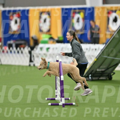 MAS-EX-STD-20-Inch_6791