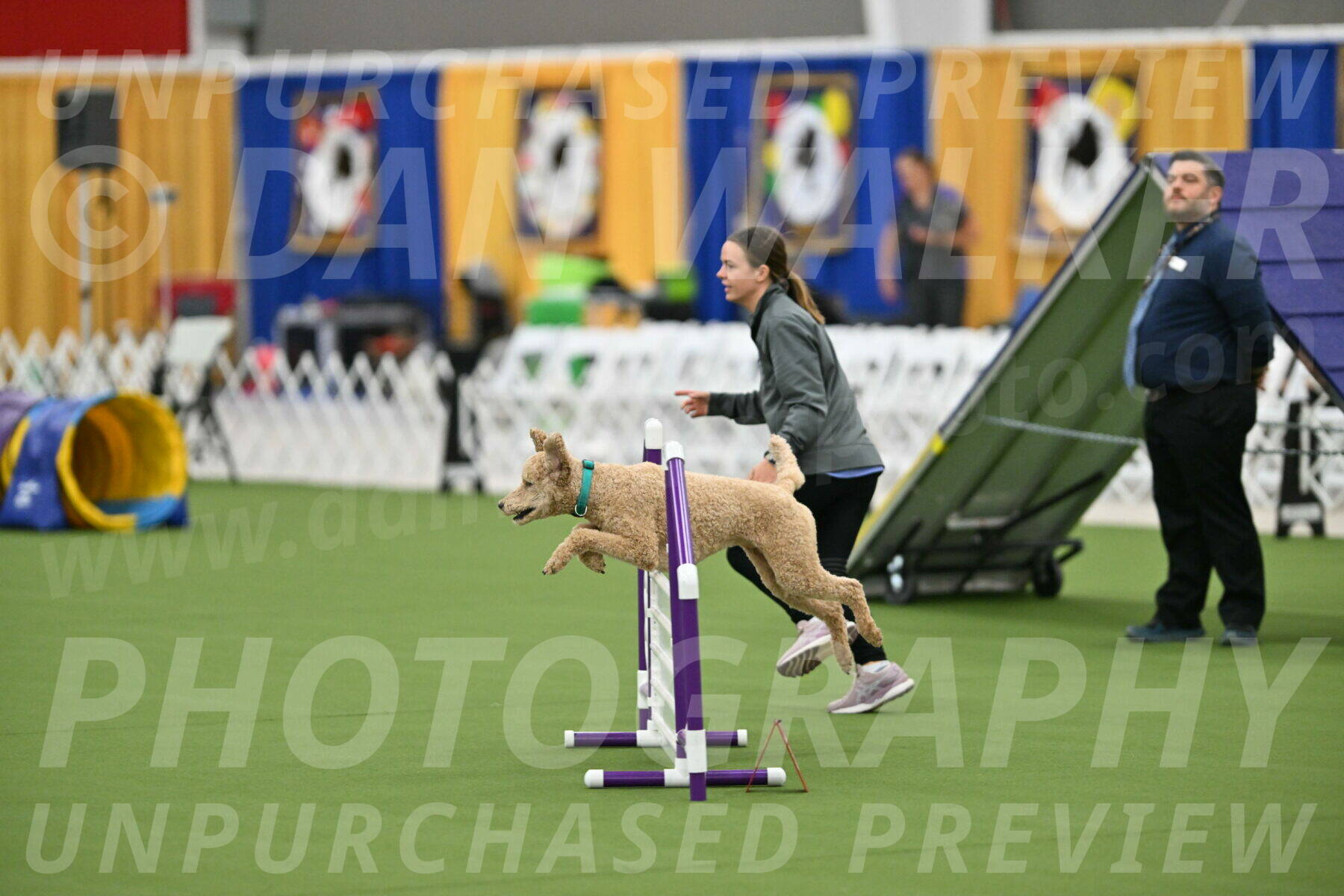 MAS-EX-STD-20-Inch_6791