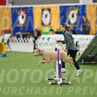 MAS-EX-STD-20-Inch_6792