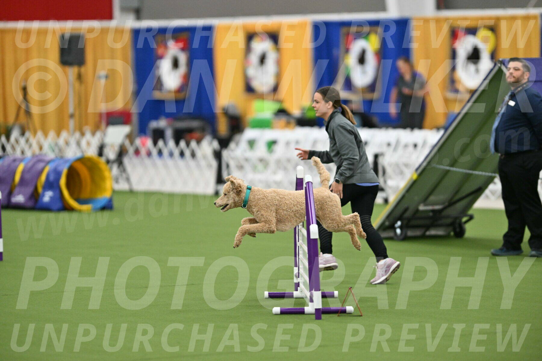 MAS-EX-STD-20-Inch_6792