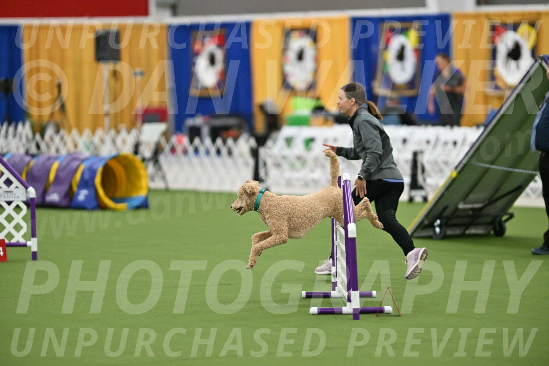 MAS-EX-STD-20-Inch_6793