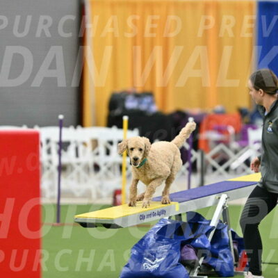 MAS-EX-STD-20-Inch_6794