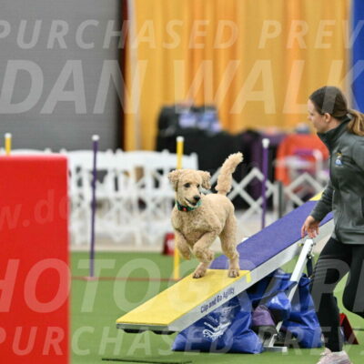 MAS-EX-STD-20-Inch_6796