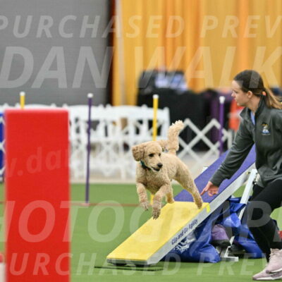 MAS-EX-STD-20-Inch_6797