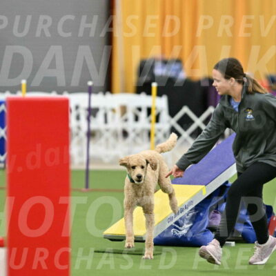 MAS-EX-STD-20-Inch_6799