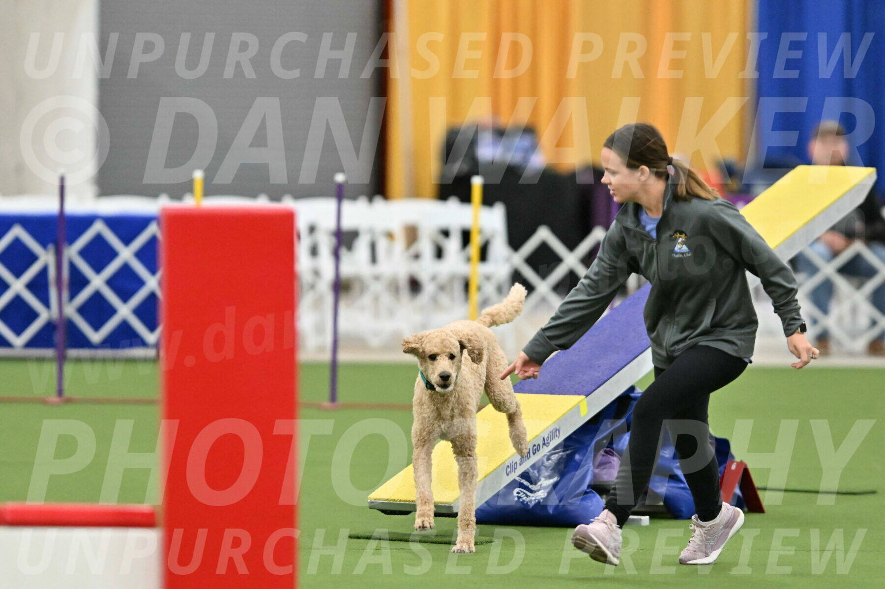 MAS-EX-STD-20-Inch_6799