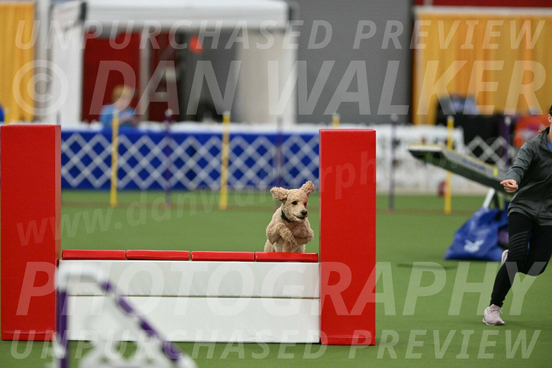 MAS-EX-STD-20-Inch_6804