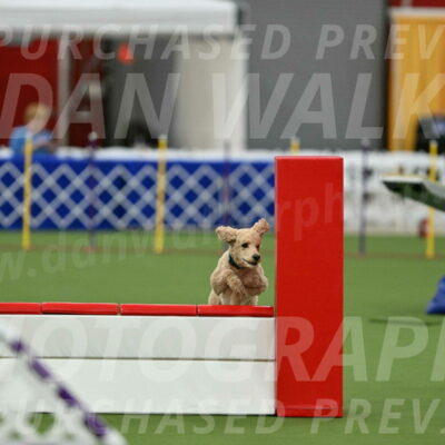 MAS-EX-STD-20-Inch_6804